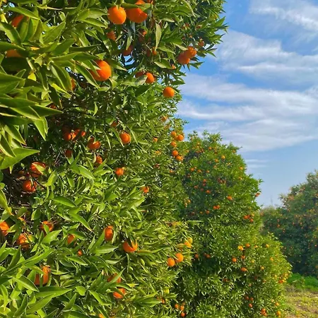 فندق Dream Town Hotel&restaurant