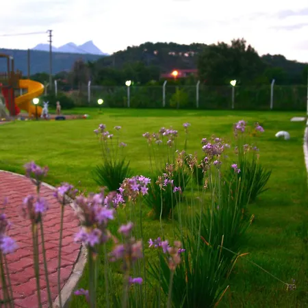 فندق Dream Town Hotel&restaurant 3*