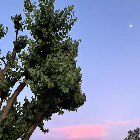 ホテル Dream Town Hotel&restaurant ケメル