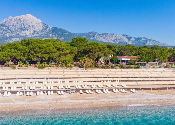 Dream Town Hotel&restaurant 3*