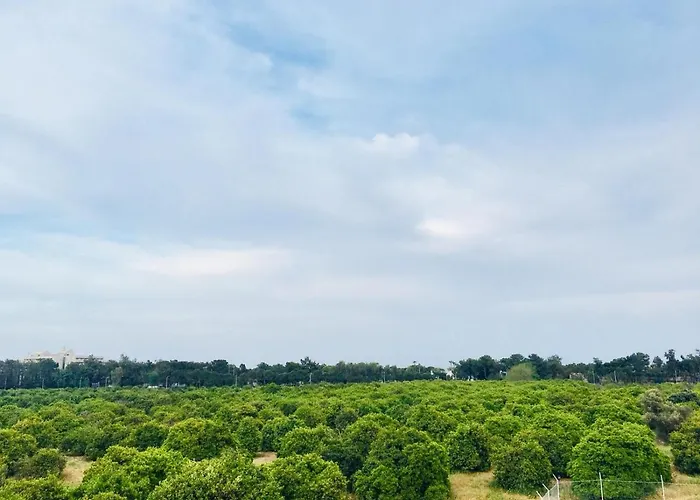 Ξενοδοχείο Dream Town Hotel&restaurant