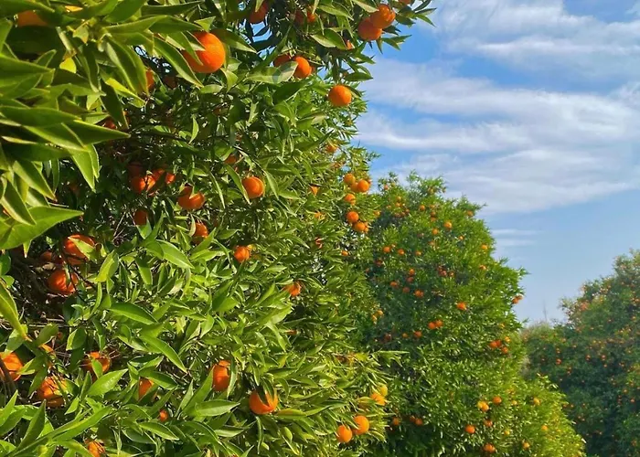 Ξενοδοχείο Dream Town Hotel&restaurant