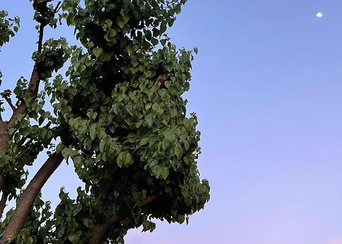 Ξενοδοχείο Dream Town Hotel&restaurant Κεμέρ