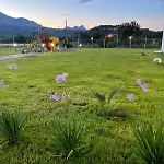 Dream Town Hotel&restaurant Hotel