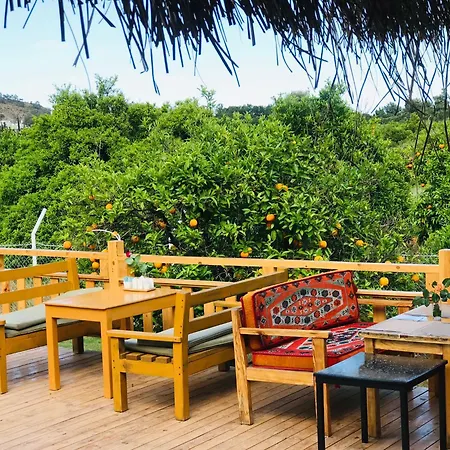 Dream Town Hotel&restaurant Kemer